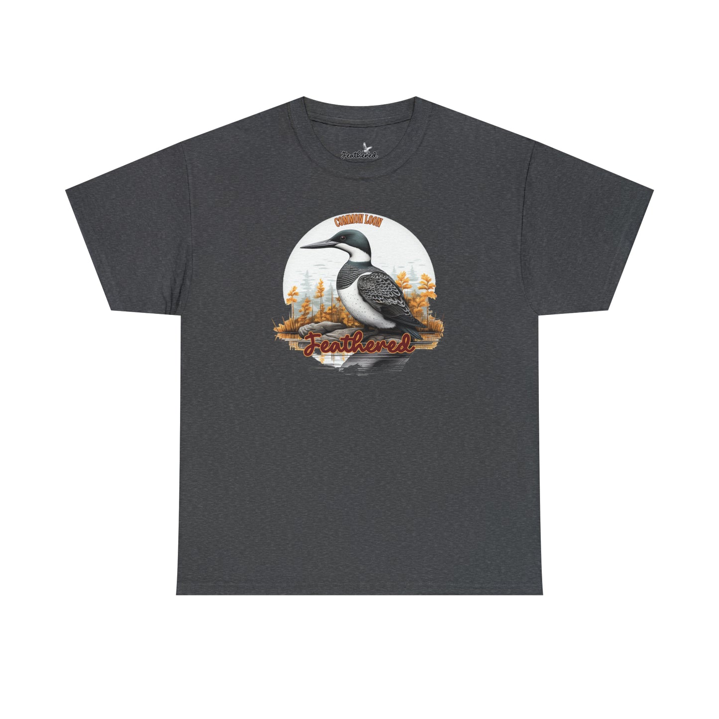 Common Loon