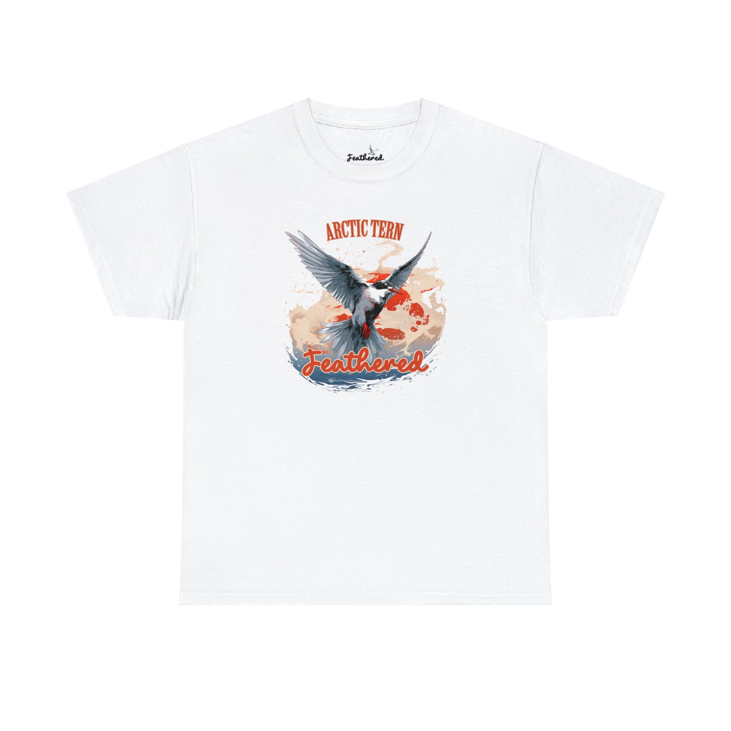 Arctic Tern