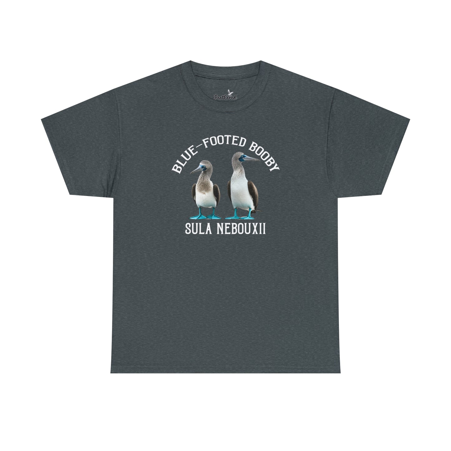 Blue-footed Booby
