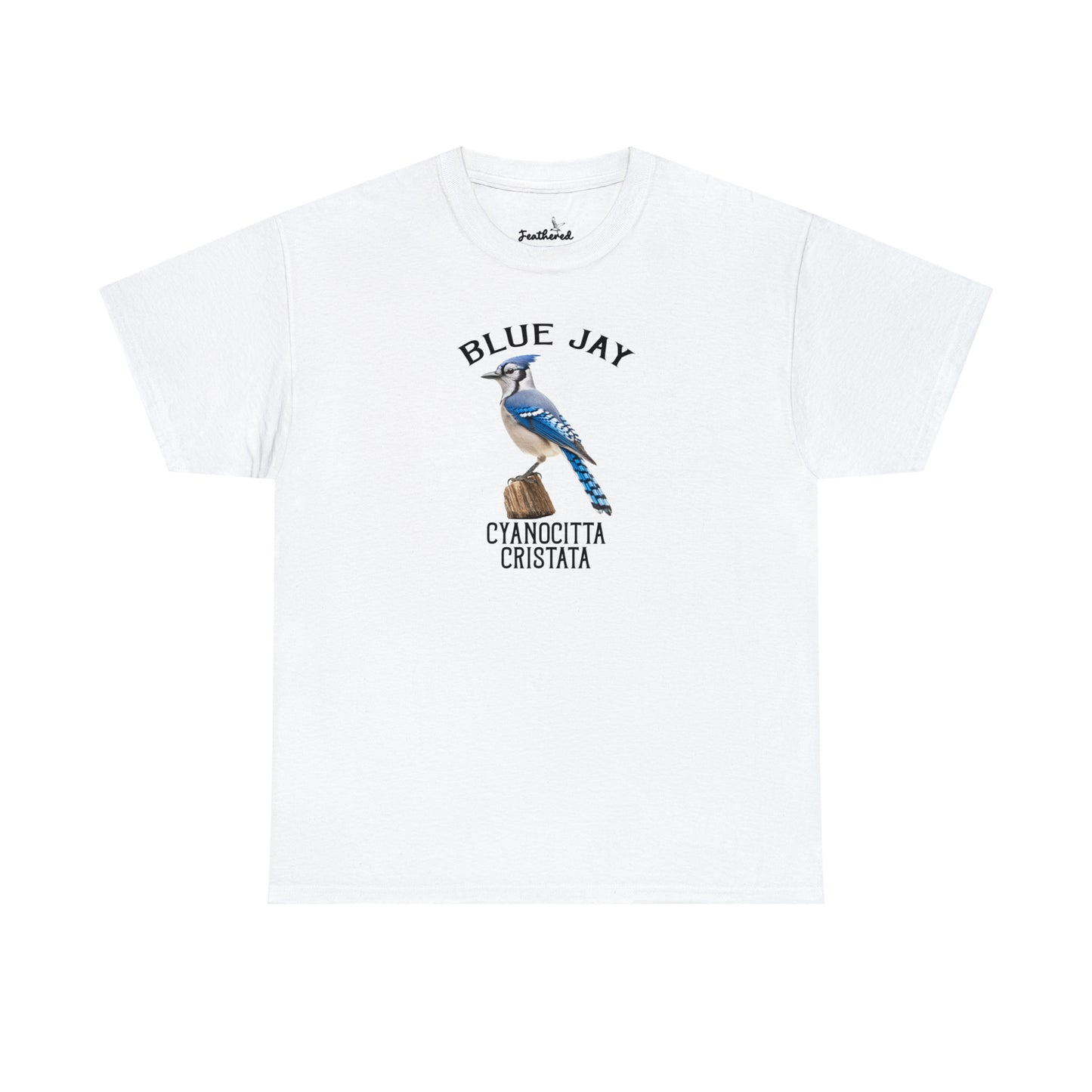 Blue Jay