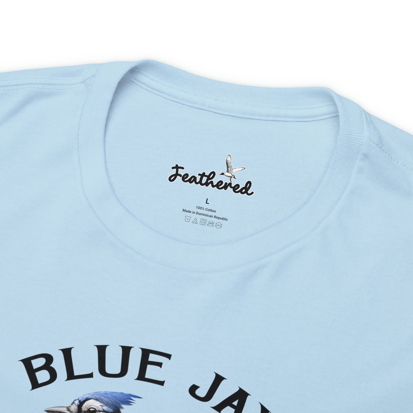 Blue Jay