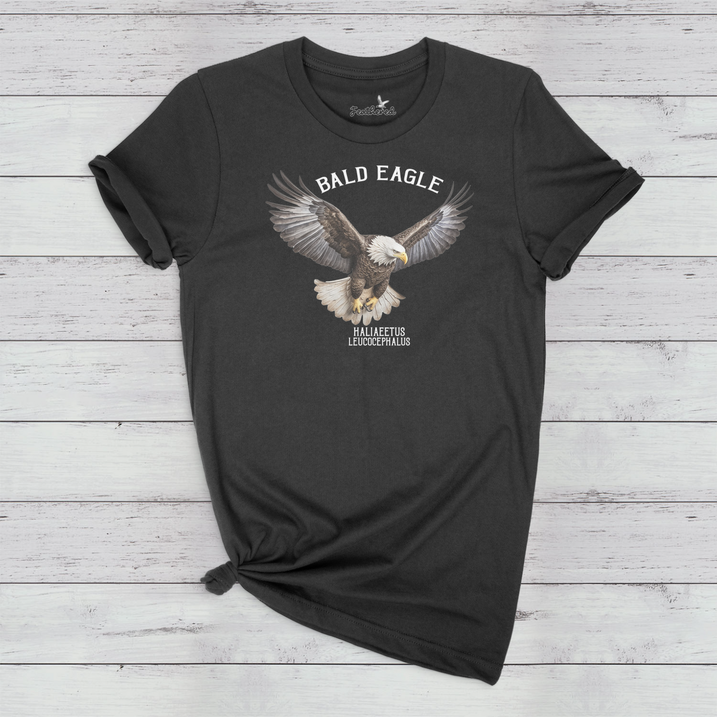 Bald Eagle.