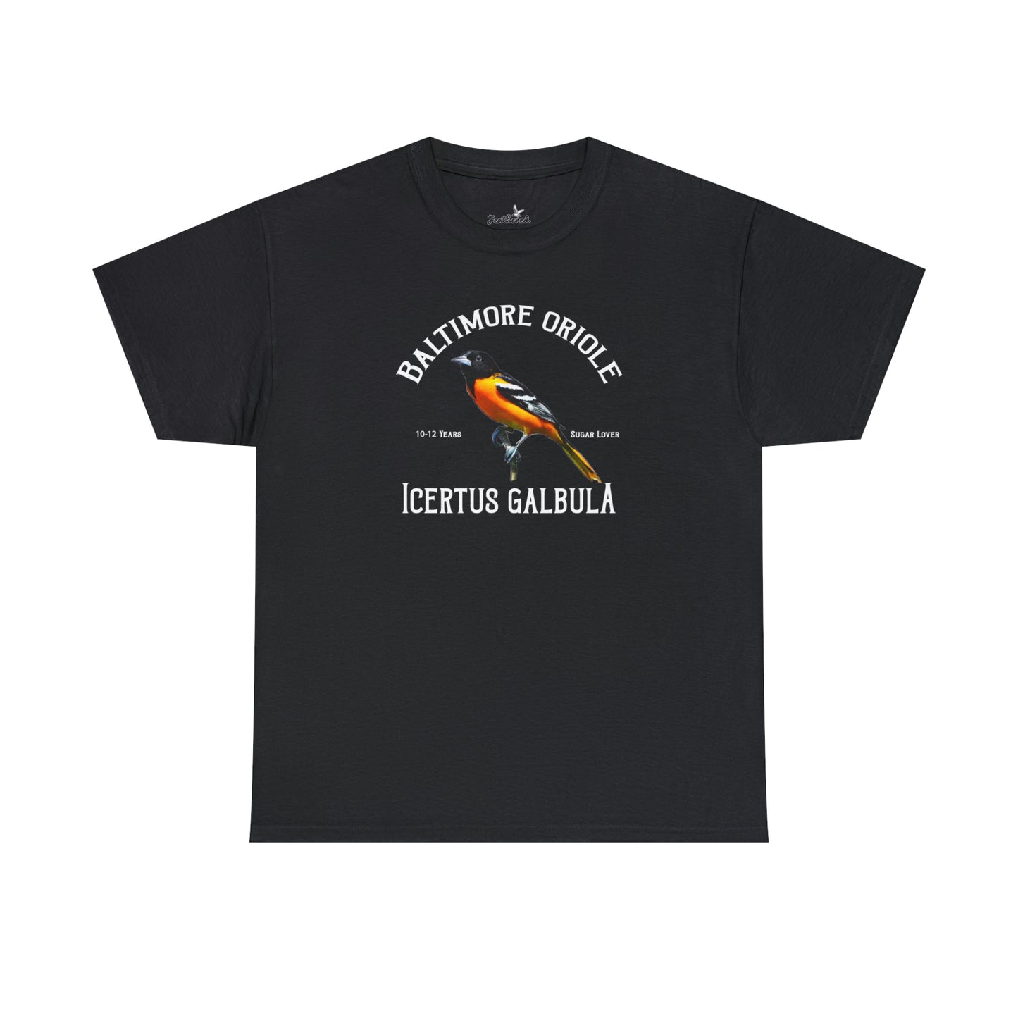 Baltimore Oriole