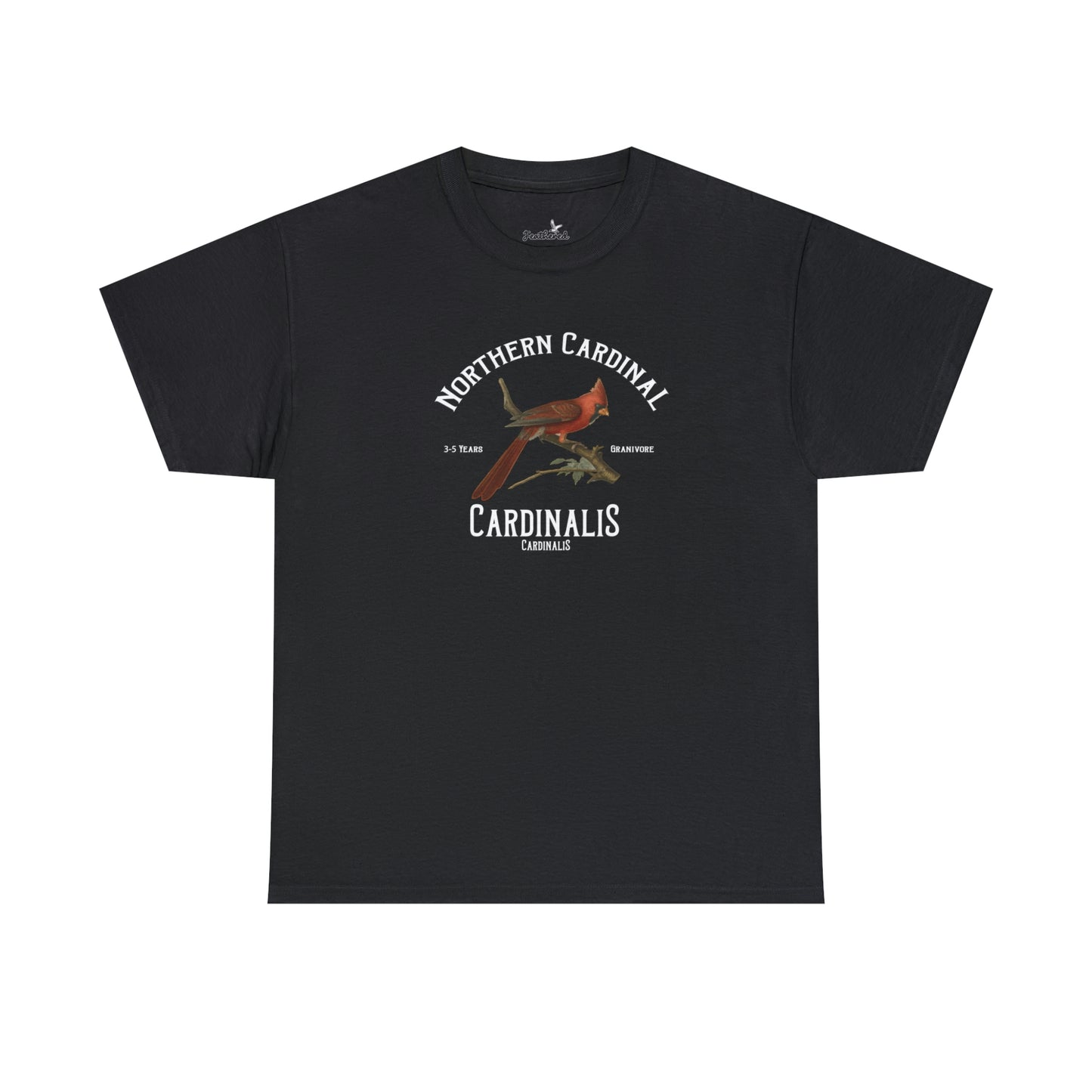 Northern Cardinal