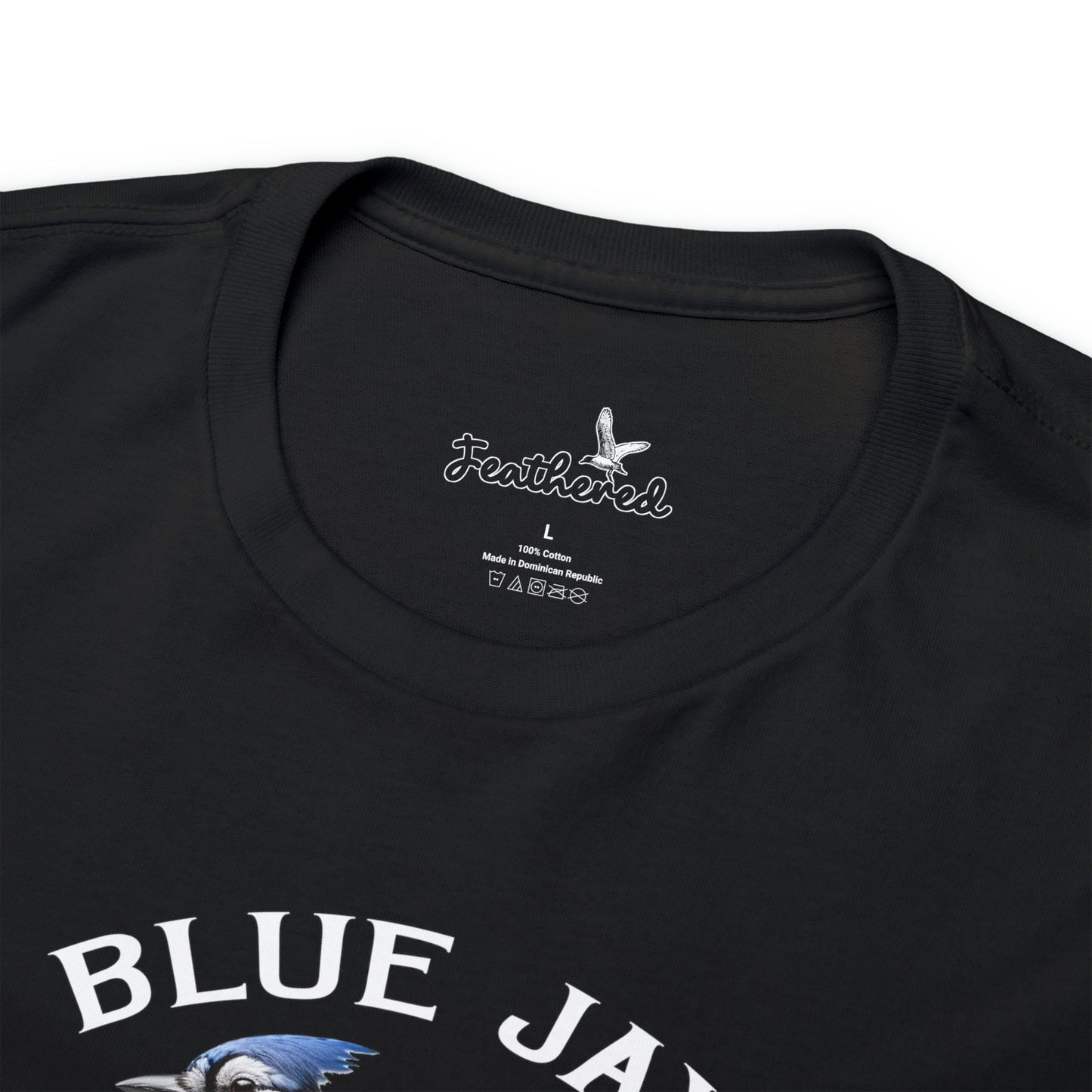 Blue Jay