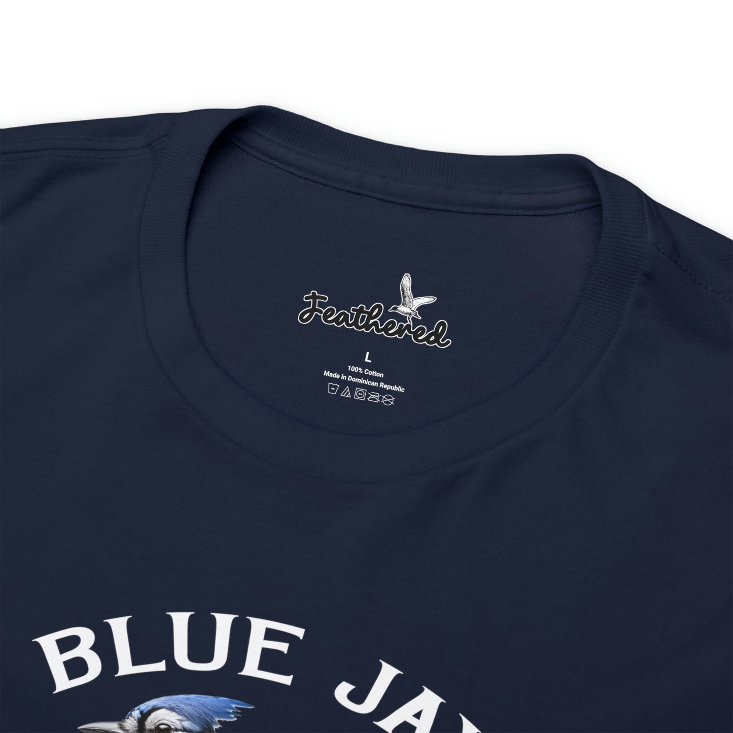 Blue Jay
