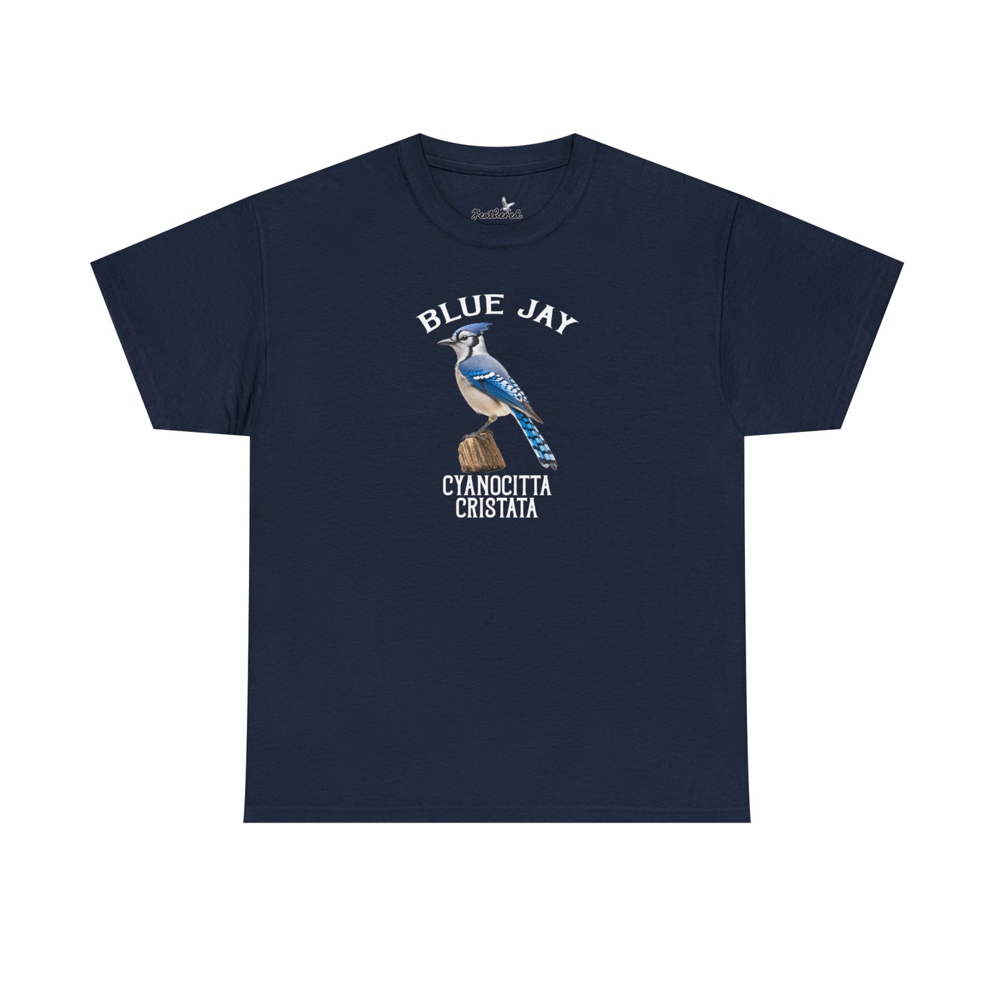 Blue Jay
