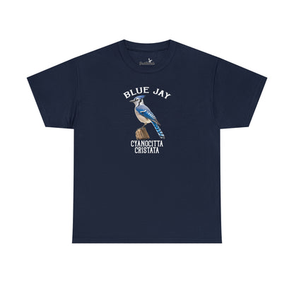Blue Jay