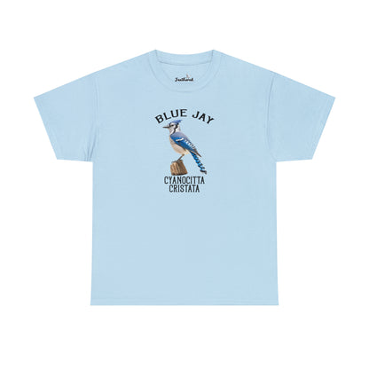 Blue Jay