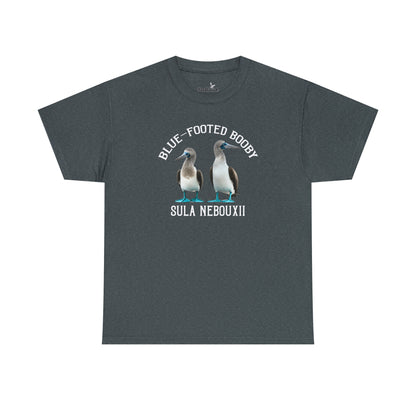 Blue-footed Booby