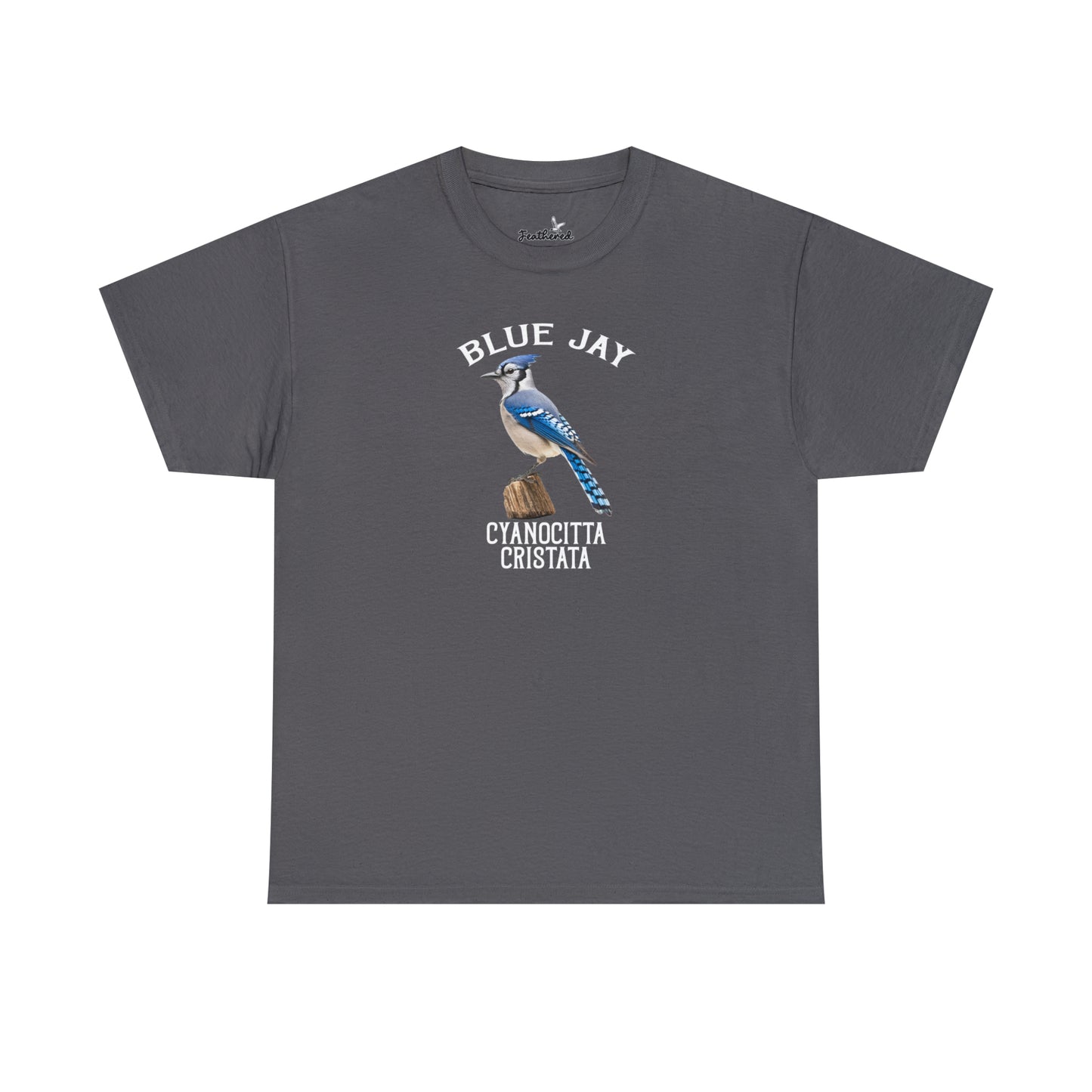 Blue Jay