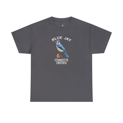 Blue Jay