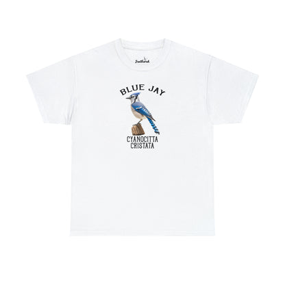Blue Jay