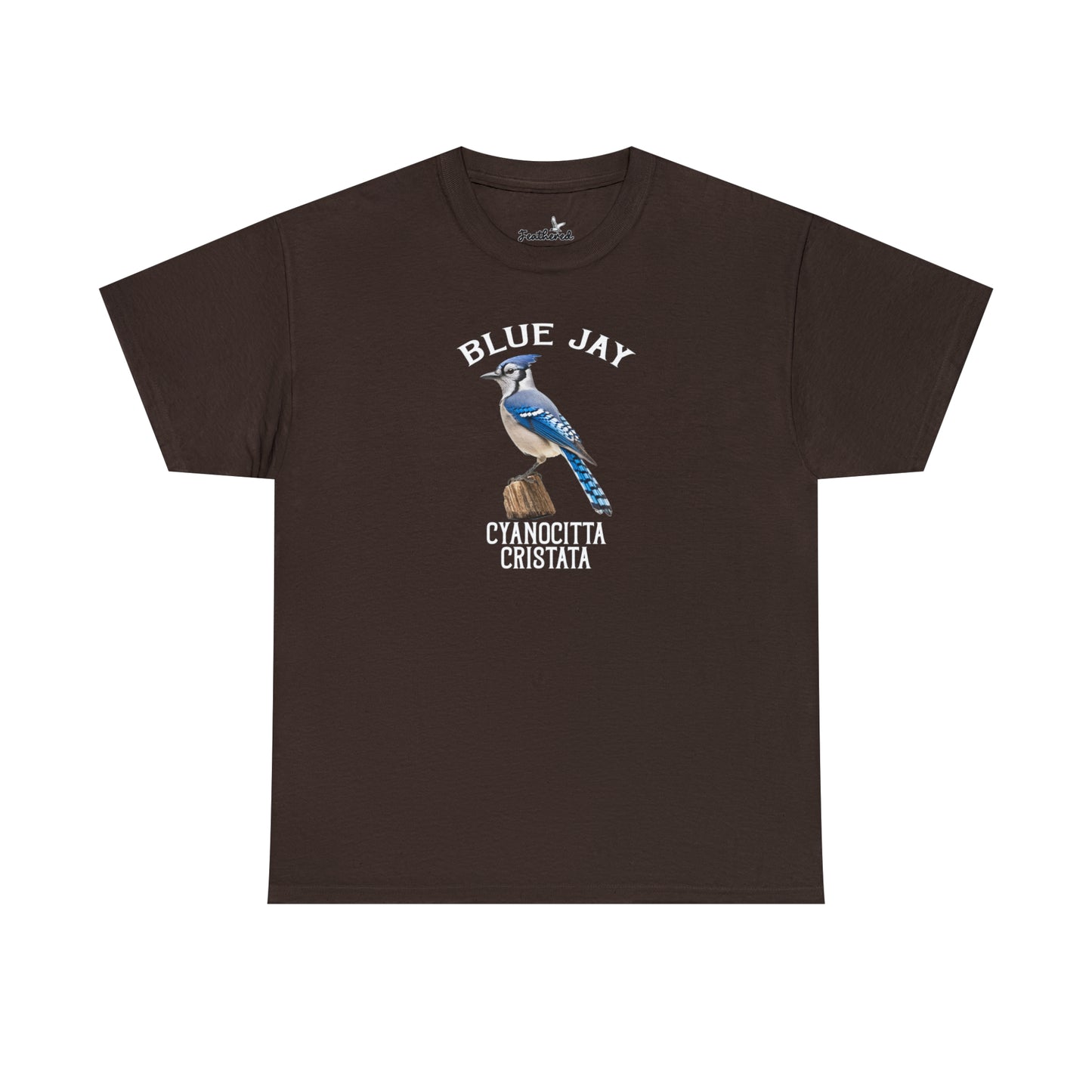 Blue Jay