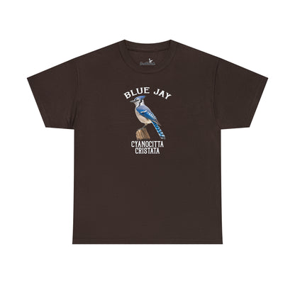 Blue Jay