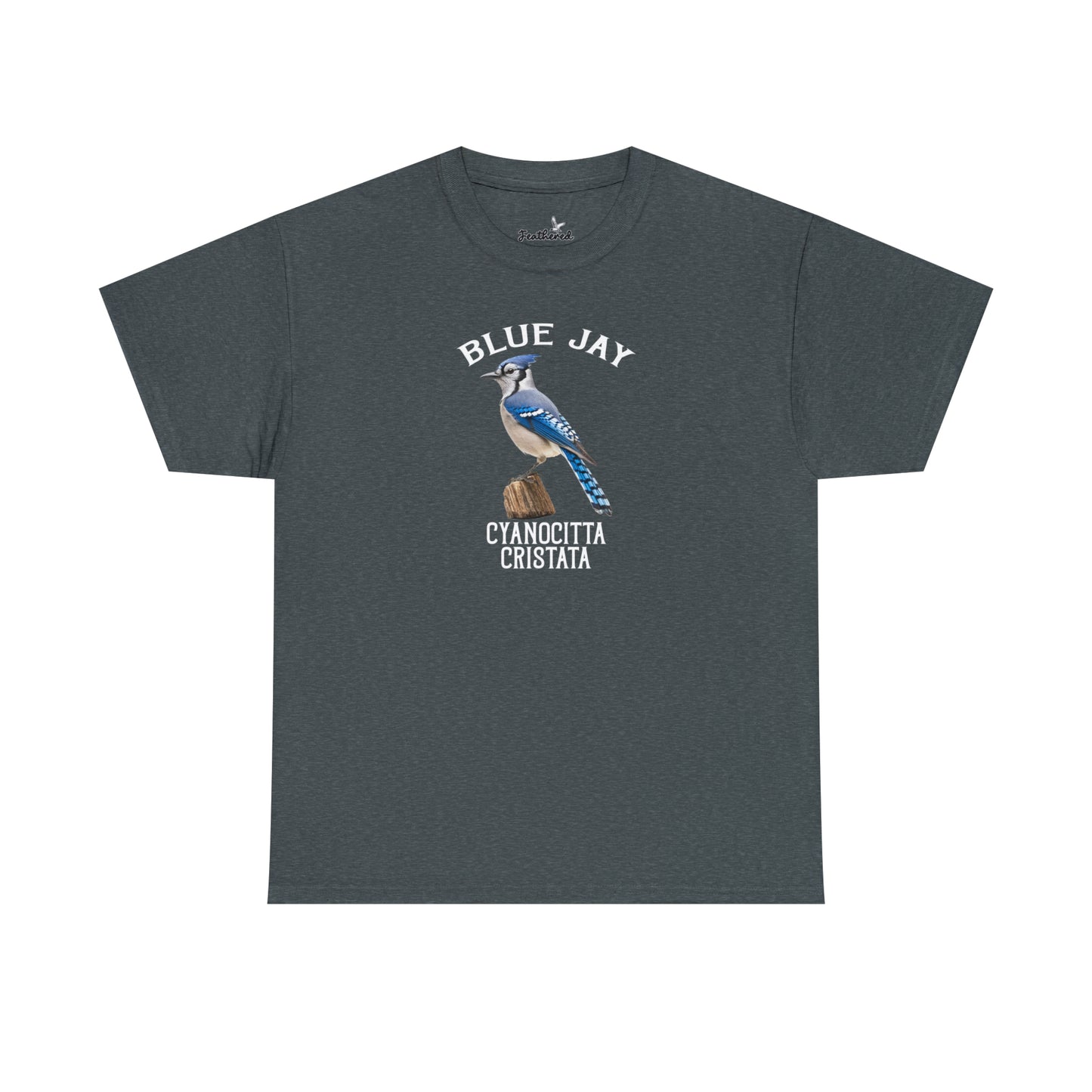 Blue Jay