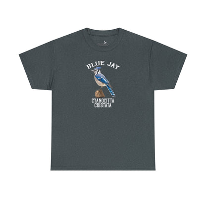 Blue Jay