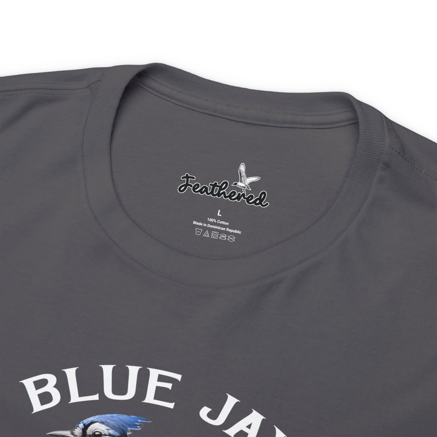 Blue Jay