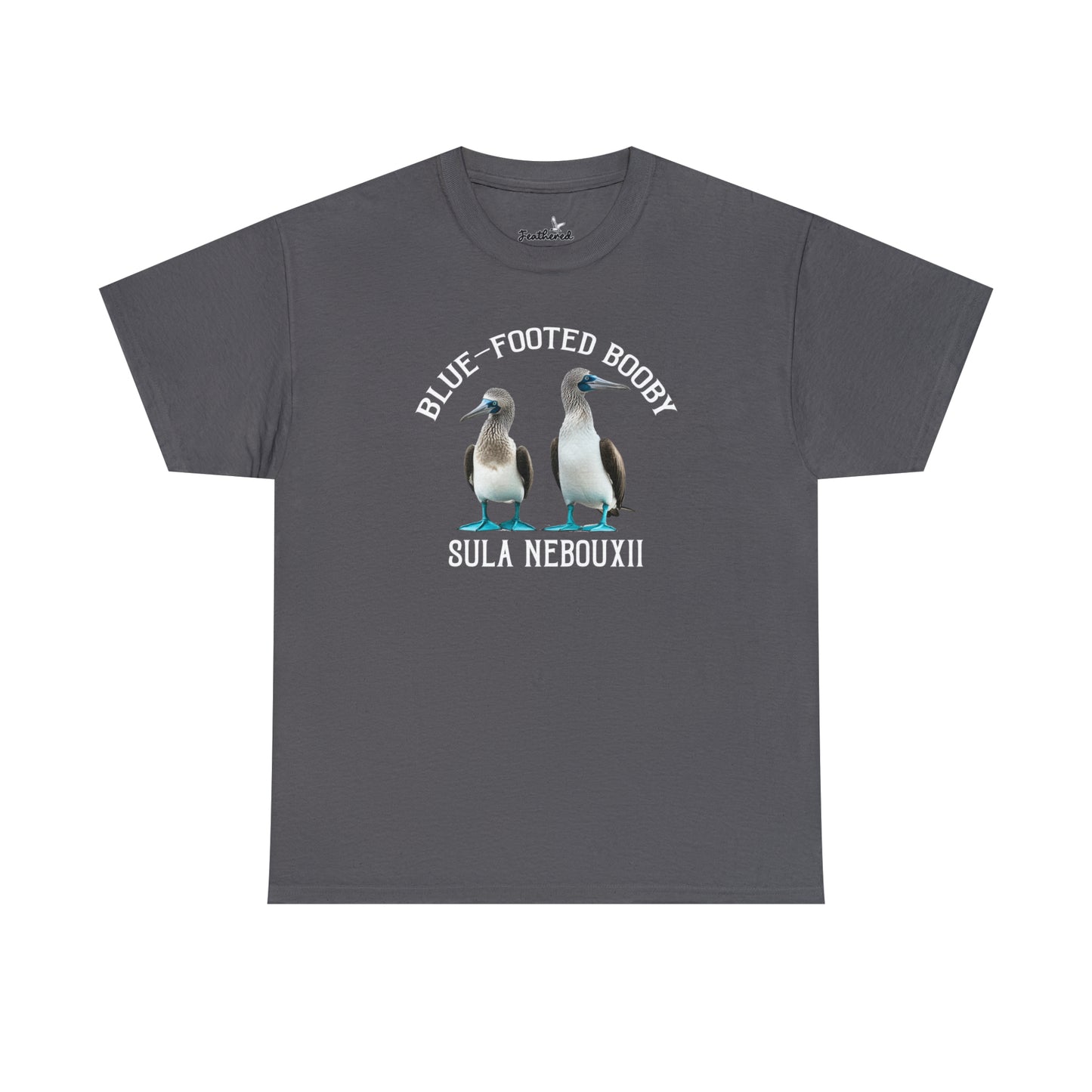Blue-footed Booby