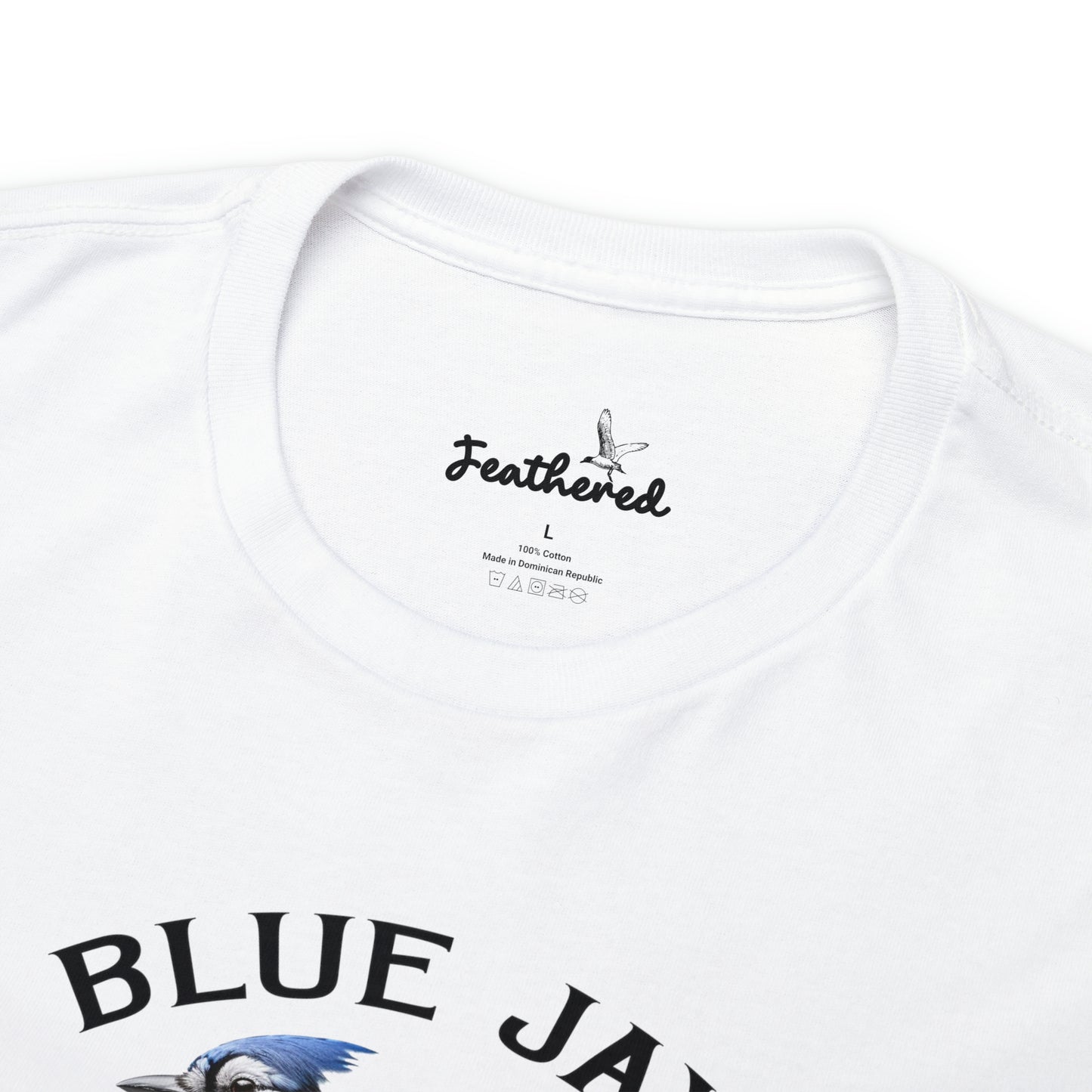 Blue Jay