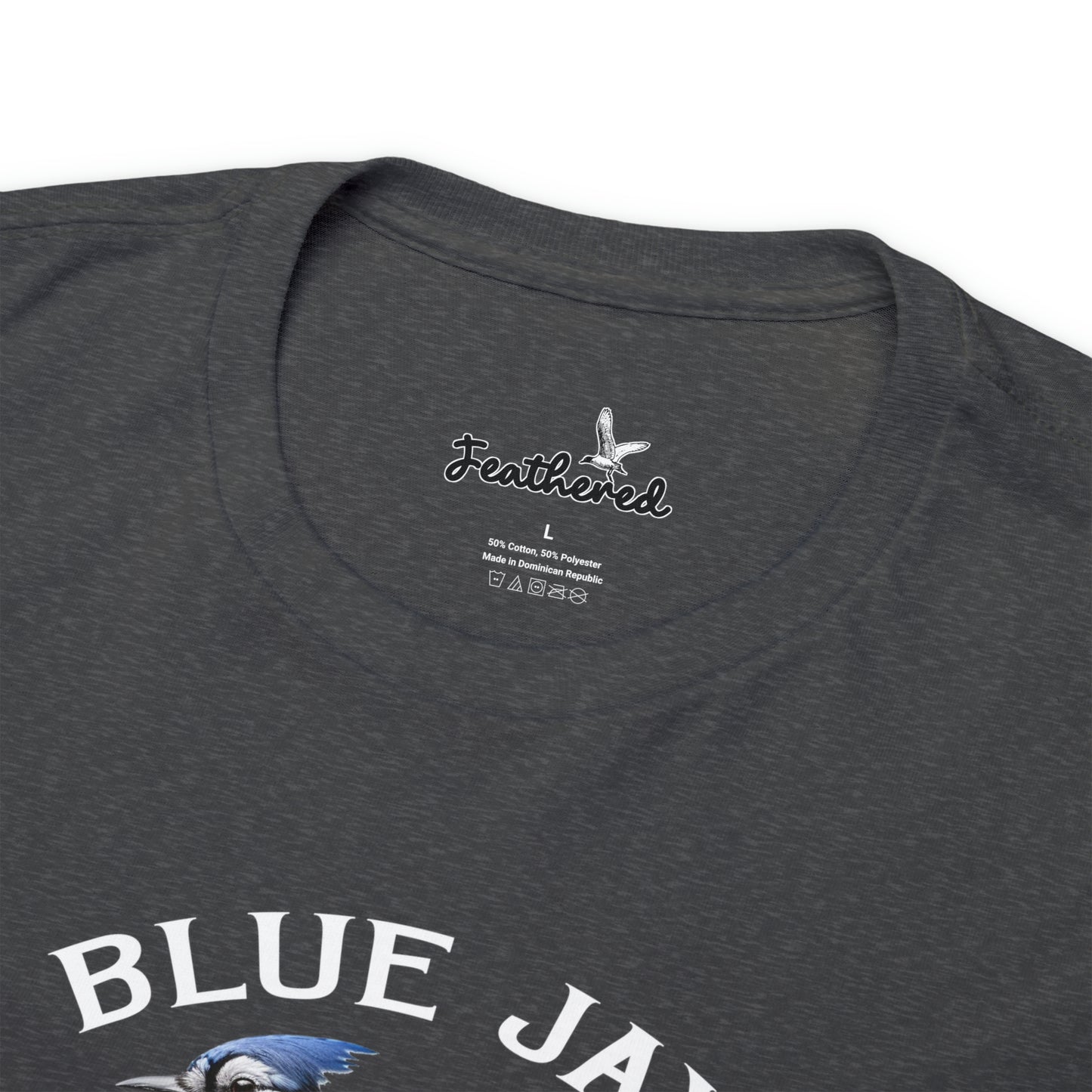 Blue Jay