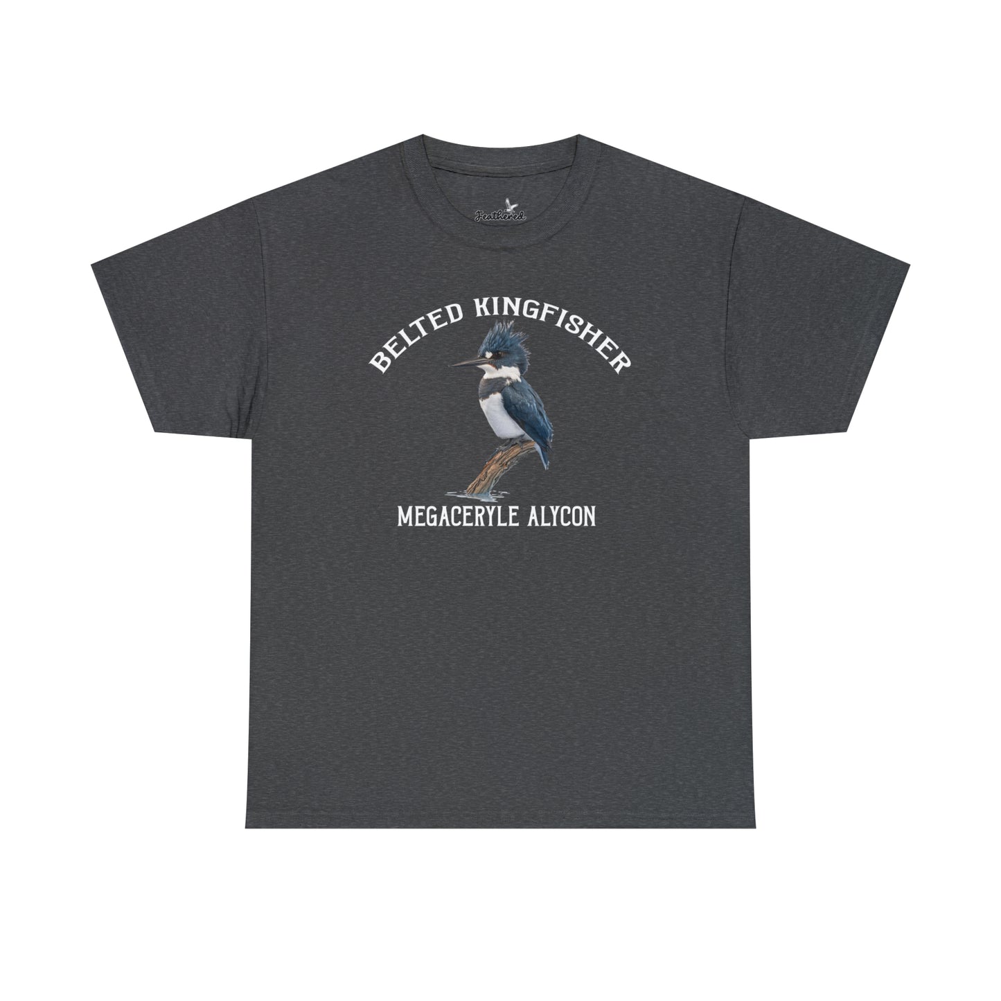 Belted Kingfisher