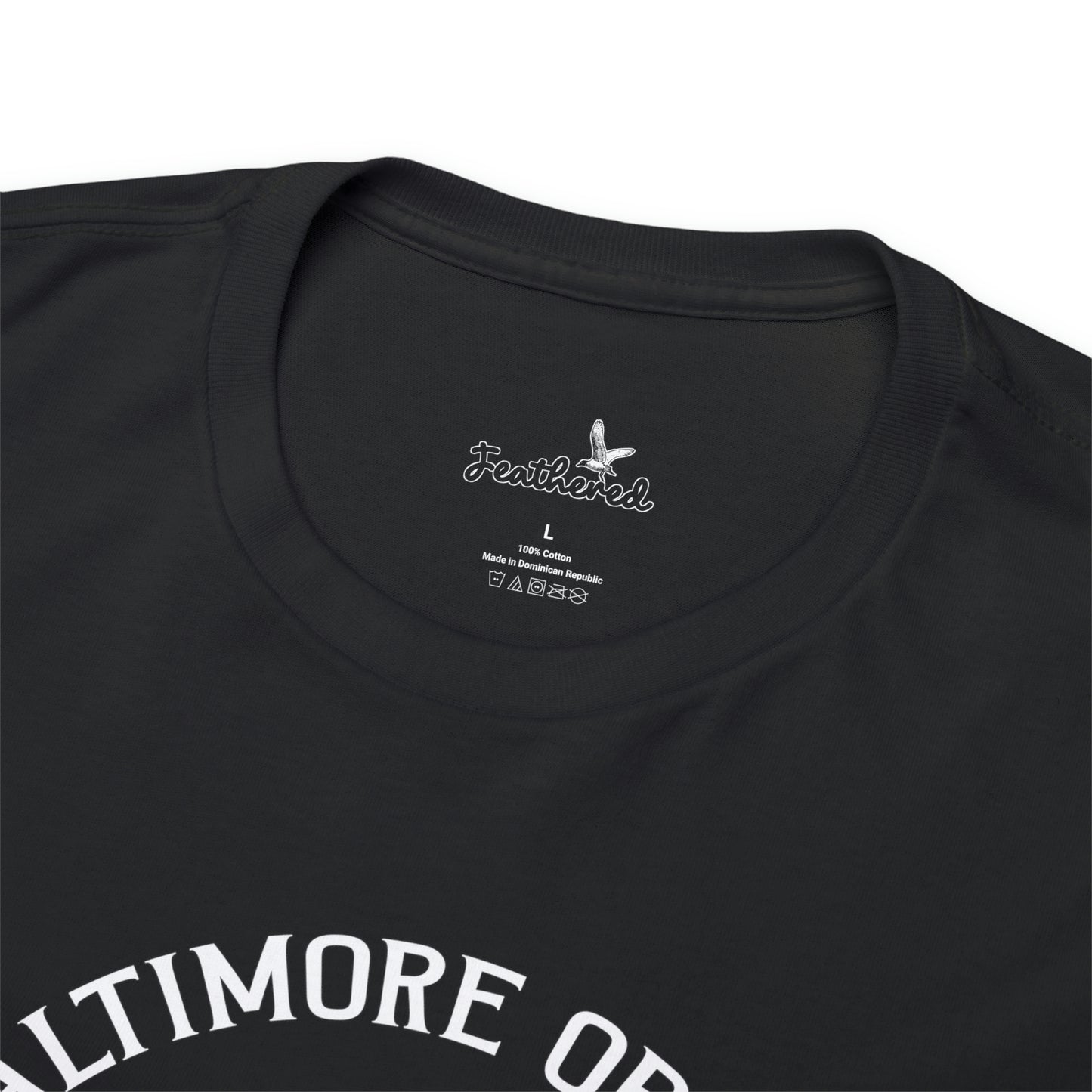 Baltimore Oriole