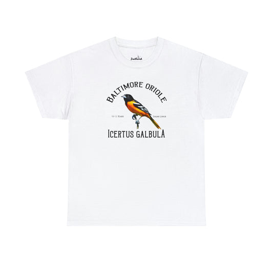 Baltimore Oriole