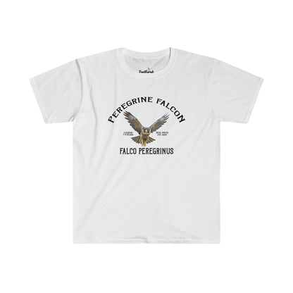 Peregrine Falcon.