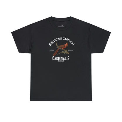 Northern Cardinal
