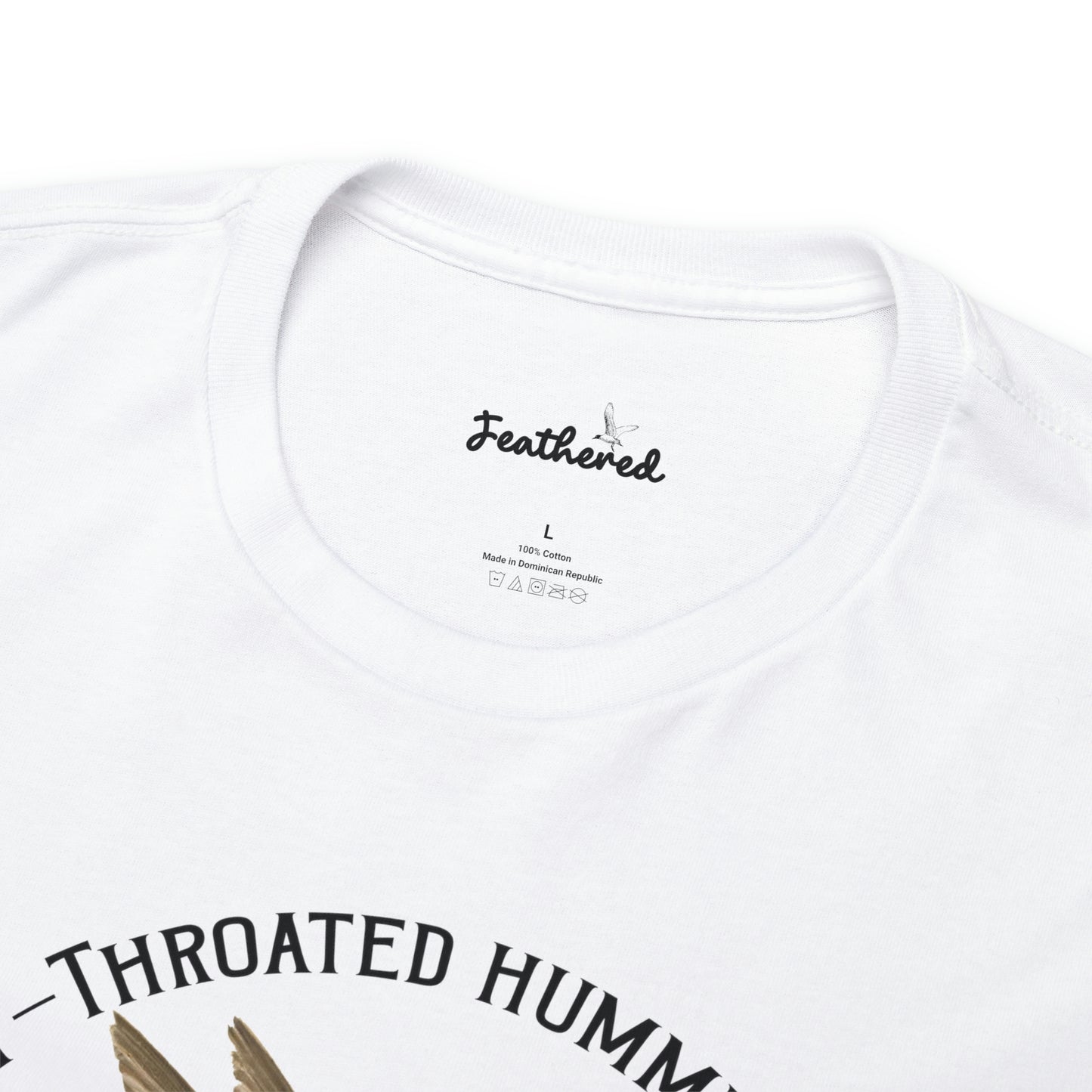 Ruby-Throated Hummingbird